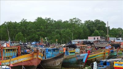 Thủ tướng họp trực tuyến với các địa phương chỉ đạo ứng phó bão số 9