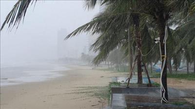 Khắc phục hậu quả bão số 5 và chủ động ứng phó mưa lũ
