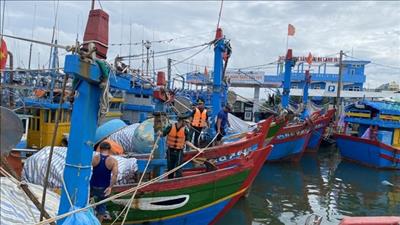 Tập trung ứng phó khẩn cấp với bão số 4