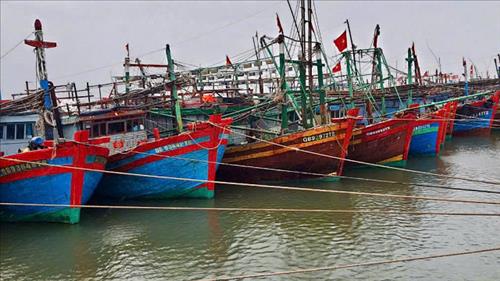 Tập trung ứng phó bão số 10 và mưa lũ, sạt lở đất