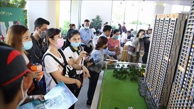 80% sàn giao dịch bất động sản đã trở lại hoạt động