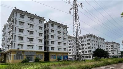 Bản tin bất động sản số 47/2022