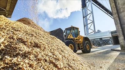 Trao đổi kinh nghiệm phát triển dự án điện sinh khối