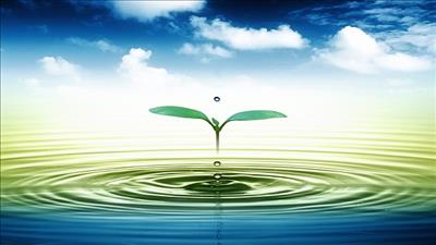 Cần bảo vệ an ninh nguồn nước