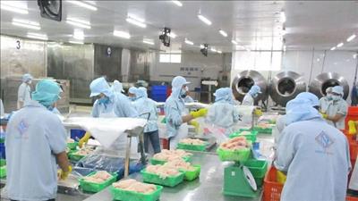 Doanh nghiệp tại Cần Thơ cập nhật các quy định mới về sử dụng năng lượng tiết kiệm và hiệu quả