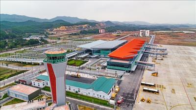 Hàng chục ha rừng phòng hộ bị ảnh hưởng do dự án cảng hàng không Vân Đồn?