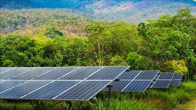 Cơ hội và thách thức từ thị trường carbon