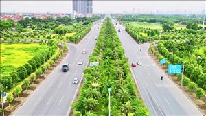 Hà Nội phấn đấu trồng hơn 400.000 cây xanh trong năm 2026