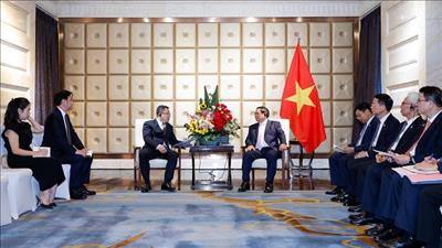 Thủ tướng tiếp lãnh đạo tập đoàn điện lực hàng đầu Trung Quốc