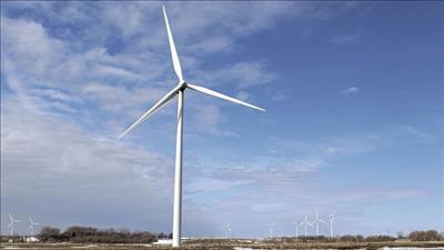 Đào tạo nhân lực vận hành Nhà máy điện gió Chính Thắng