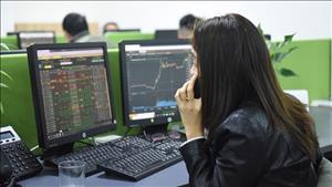 Danh mục cổ phiếu cần quan tâm ngày 10/11