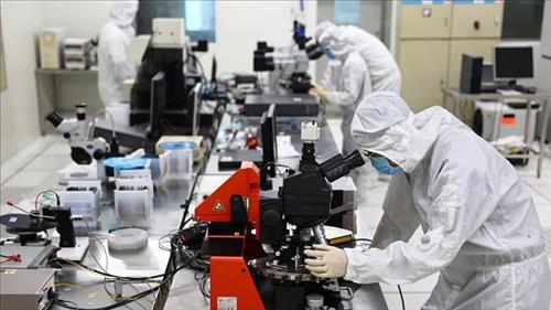 Chính sách thu hút chuyên gia người nước ngoài và kiều bào về nước giảng dạy, làm việc