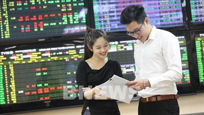 Danh mục cổ phiếu cần quan tâm ngày 19/12