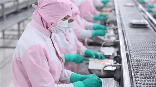 Chuẩn hóa quy trình chứng nhận thủy sản xuất khẩu sang thị trường Hoa Kỳ