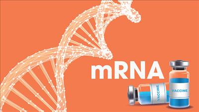 Tác giả công nghệ mRNA giành giải thưởng VinFuture Grand Prize