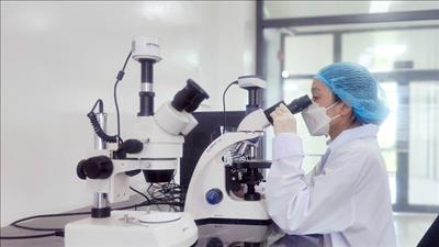 8 tiêu chí lựa chọn dự án khoa học và công nghệ thuộc Chương trình công nghệ cao