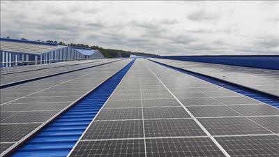 Chuyển đổi xanh và phát triển bền vững trong sản xuất công nghiệp