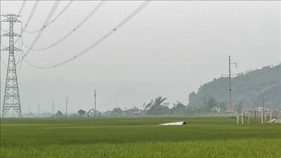 Thực hiện quyết liệt các giải pháp bảo đảm cung ứng đủ điện