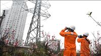 Bảo đảm cung ứng điện an toàn, ổn định dịp Tết Nguyên đán Bính Ngọ 2026