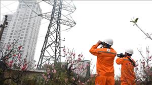 Bảo đảm cung ứng điện an toàn, ổn định dịp Tết Nguyên đán Bính Ngọ 2026