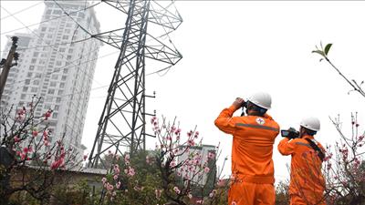 Bảo đảm cung ứng điện an toàn, ổn định dịp Tết Nguyên đán Bính Ngọ 2026
