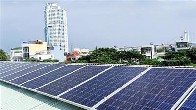 Tham vấn Đề án phát triển ĐMTMN TP Đà Nẵng đến năm 2025, tầm nhìn đến 2035