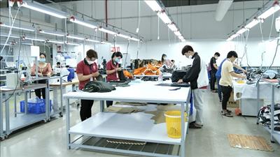 Nhà máy FDI đầu tiên của Đan Mạch tại An Giang sử dụng năng lượng tái tạo
