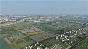 Đề nghị các tỉnh, thành phố khẩn trương triển khai nghị quyết về đất đai