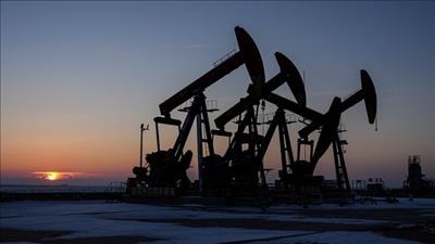 IEA hạ dự báo tăng trưởng nhu cầu dầu mỏ toàn cầu năm 2026