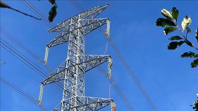 Chấp thuận chủ trương đầu tư dự án đường dây 220kV Pleiku 2 - Krông Buk mạch 2