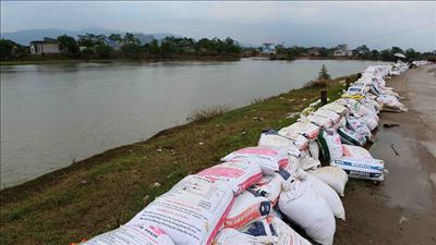 Triển khai công tác đảm bảo an toàn đê điều, ứng phó với mưa lũ sau bão số 5