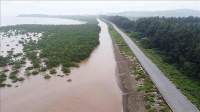 Triển khai các biện pháp bảo đảm an toàn hệ thống đê điều, chủ động ứng phó với bão số 12 và mưa lũ