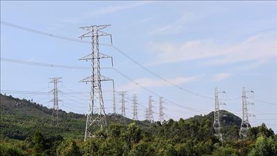 Chuyển mục đích sử dụng rừng thực hiện dự án đường dây 500kV Monsoon – Thạnh Mỹ