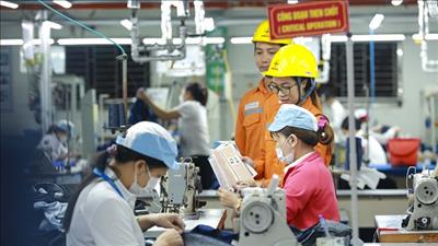 Đào tạo quản lý năng lượng cho các doanh nghiệp