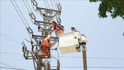 9 tháng năm 2023, sản lượng toàn hệ thống tăng 3,1% so với cùng kỳ năm trước