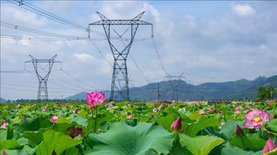 Triển khai thực hiện Quy hoạch điện VIII điều chỉnh, đảm bảo nguồn cung ứng điện