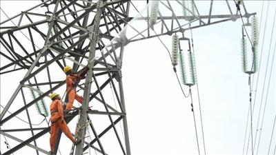 Quy định về kiểm tra hoạt động điện lực và sử dụng điện