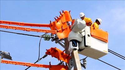 Tiếp thu ý kiến, hoàn thiện dự thảo Thông tư quy định vận hành thị trường bán buôn điện cạnh tranh