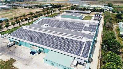 Hợp tác phát triển điện sạch cho phân khúc công nghiệp và thương mại