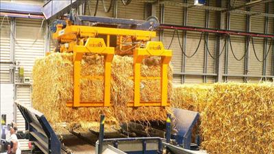 Duyệt báo cáo đánh giá tác động môi trường dự án điện sinh khối Hậu Giang