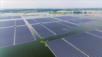 Điện tái tạo dự kiến tăng kỷ lục vào năm 2022