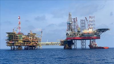 Đề xuất cơ chế tài chính đặc thù của Tập đoàn Công nghiệp - Năng lượng quốc gia Việt Nam