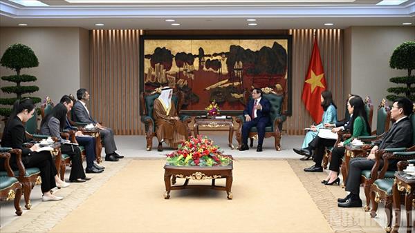 Thúc đẩy UAE cung cấp dầu khí cho Việt Nam theo nhu cầu, tăng cường kết nối 2 nền kinh tế