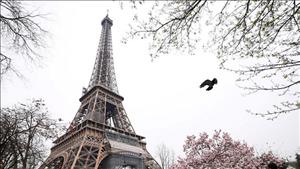 Thành phố đầu tiên của Pháp triển khai quy hoạch đô thị sinh khí hậu