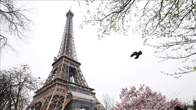 Thành phố đầu tiên của Pháp triển khai quy hoạch đô thị sinh khí hậu