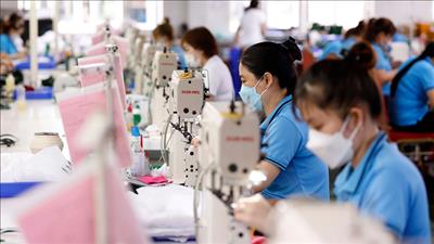 Tiến hành Điều tra doanh nghiệp năm 2025 trên cả nước