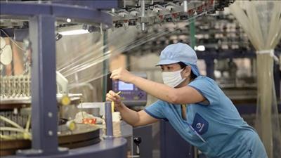 Sử dụng năng lượng tiết kiệm thông qua việc áp dụng tiêu chuẩn ISO 50001:2018