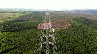 Sẵn sàng giải tỏa công suất 16 dự án điện gió tại Quảng Trị