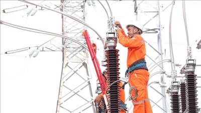 Tỉnh Đồng Nai thực hiện chương trình sử dụng năng lượng tiết kiệm hiệu quả