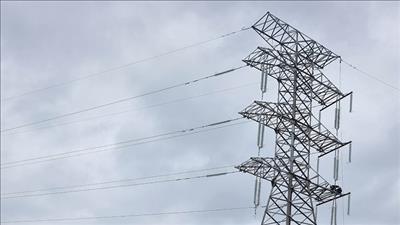 Bảo vệ thi công đường dây 220kV đấu nối TBA 220kV Bắc Quang